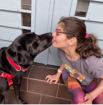 photo of black labrador dog olive with young woman